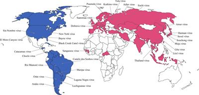 Genomic Epidemiology and Active Surveillance to Investigate Outbreaks of Hantaviruses